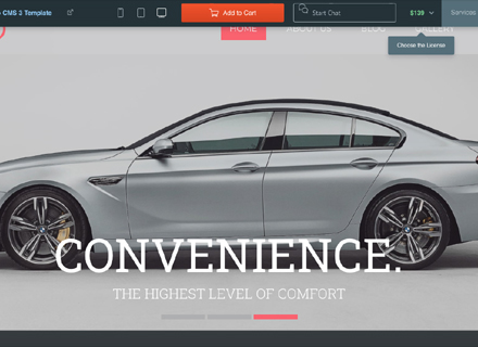 Auto Dealer Websites